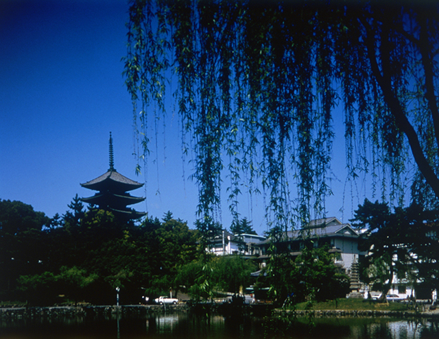 興福寺