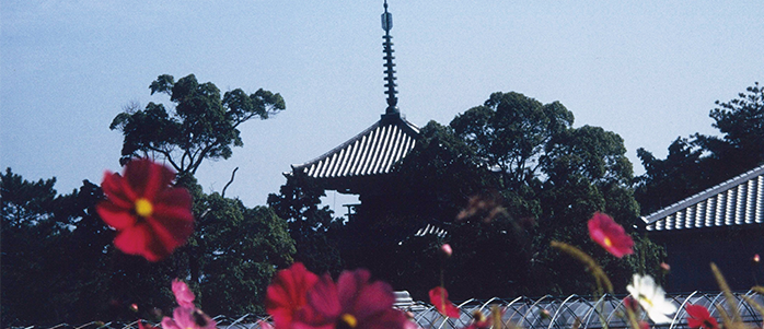 ＪＲ法隆寺駅周辺の観光写真